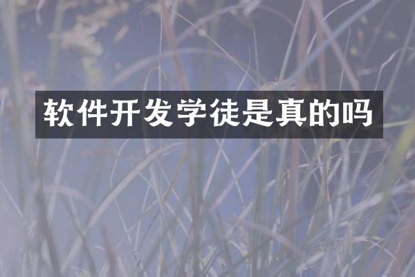 软件开发学徒是真的吗