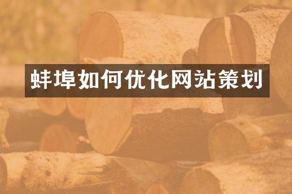 蚌埠如何优化网站策划