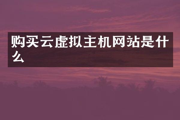 购买云虚拟主机网站是什么