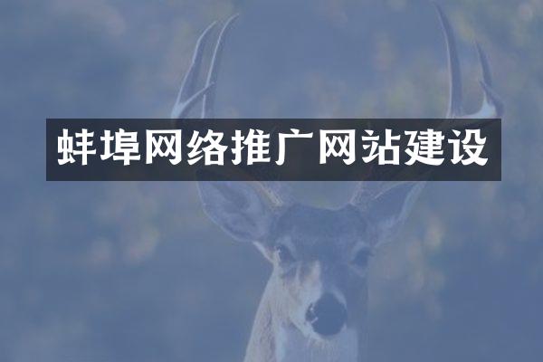 蚌埠网络推广网站建设