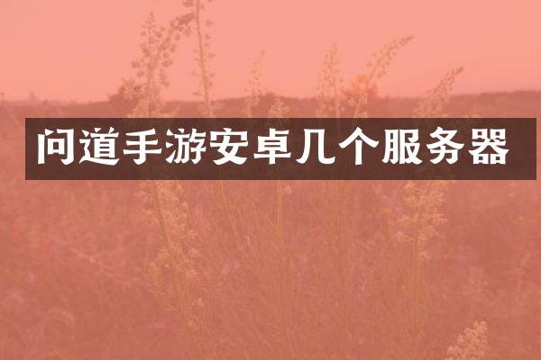 问道手游安卓几个服务器
