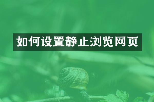 如何设置静止浏览网页