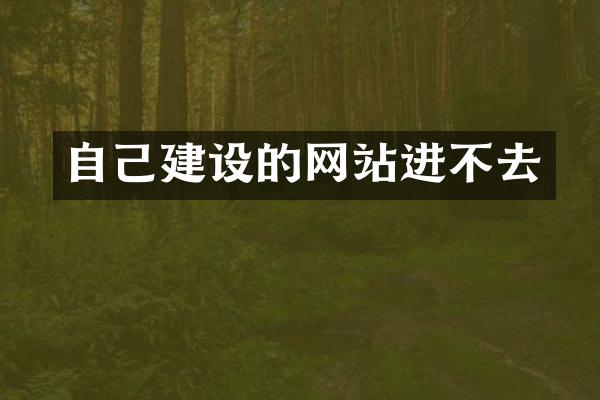 自己建设的网站进不去
