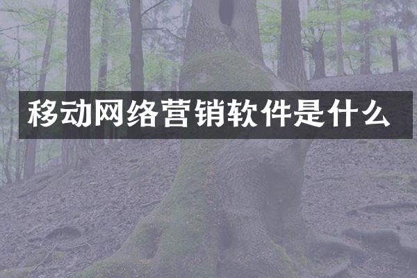 移动网络营销软件是什么