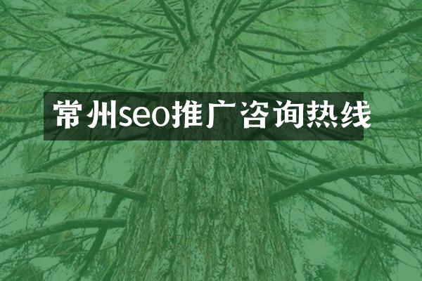 常州seo推广咨询热线