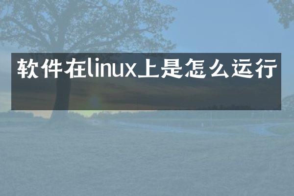 软件在linux上是怎么运行的
