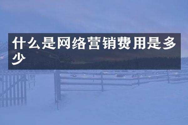 什么是网络营销费用是多少