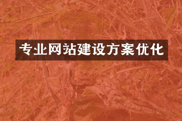 专业网站建设方案优化