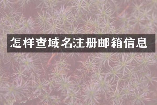 怎样查域名注册邮箱信息