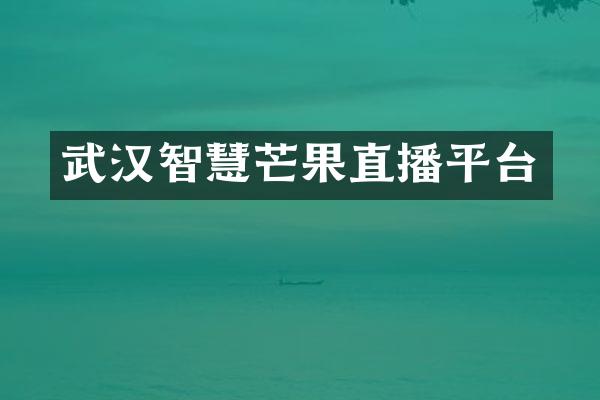 武汉智慧芒果直播平台