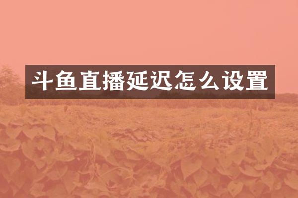 斗鱼直播延迟怎么设置