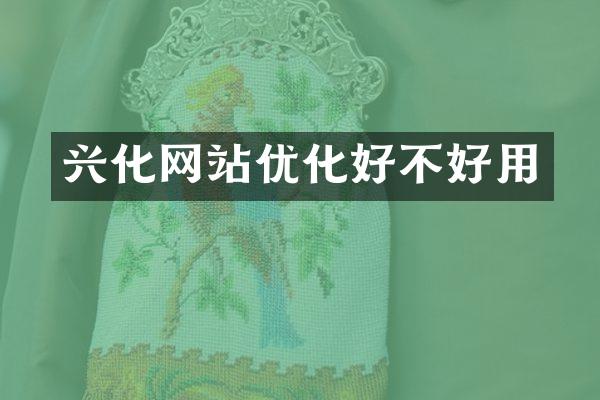 兴化网站优化好不好用
