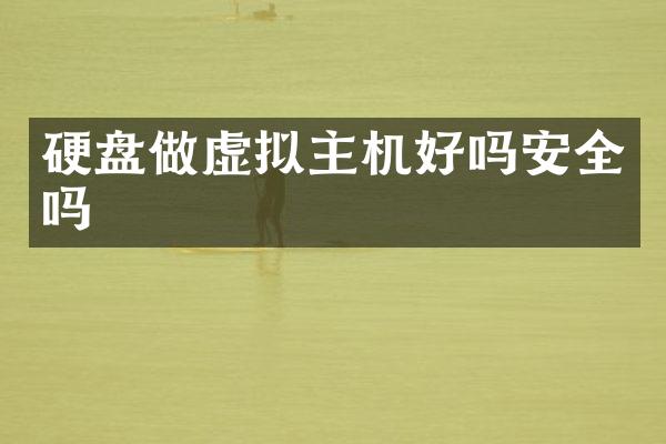 硬盘做虚拟主机好吗安全吗
