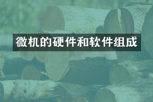 微机的硬件和软件组成
