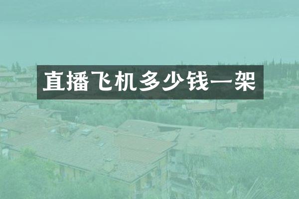 直播飞机多少钱一架