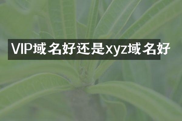 VIP域名好还是xyz域名好
