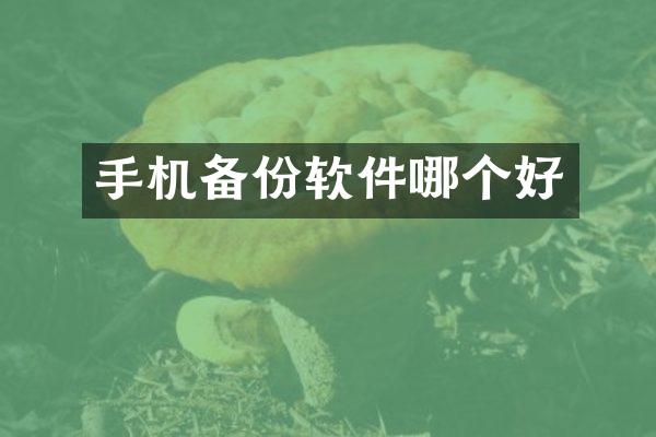手机备份软件哪个好