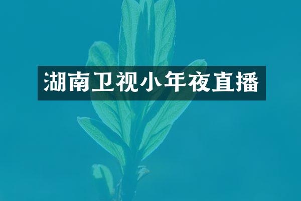 湖南卫视小年夜直播