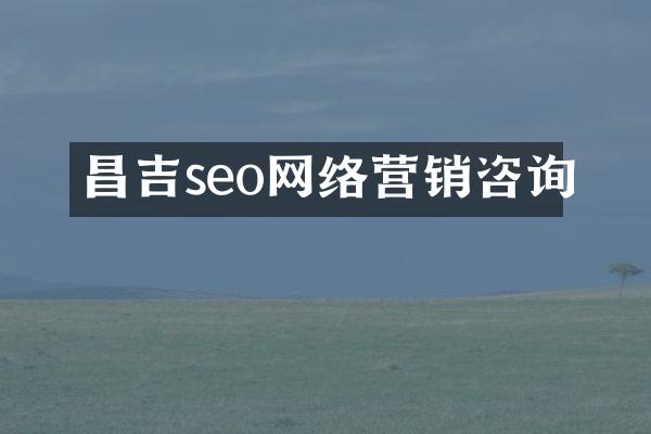 昌吉seo网络营销咨询