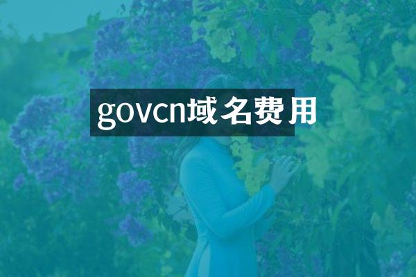 govcn域名费用