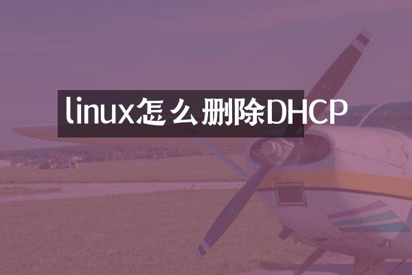 linux怎么删除DHCP