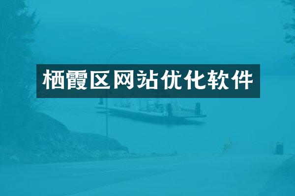 栖霞区网站优化软件