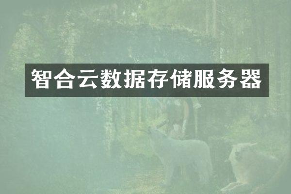 智合云数据存储服务器