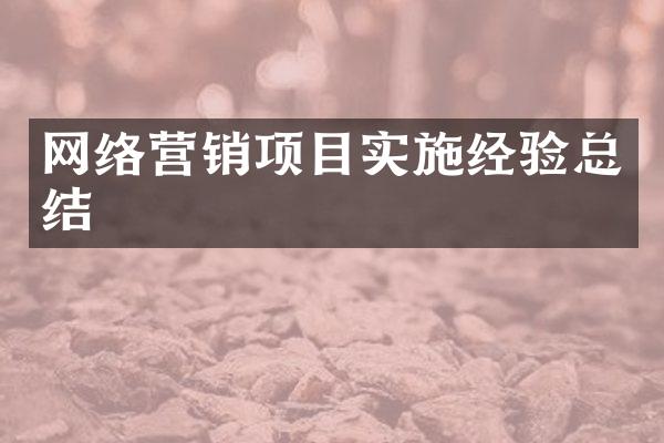 网络营销项目实施经验总结