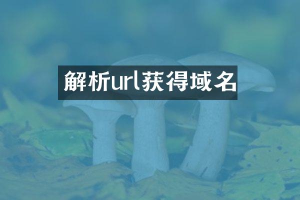 解析url获得域名