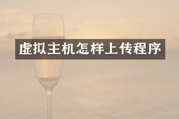 虚拟主机怎样上传程序