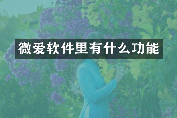 微爱软件里有什么功能