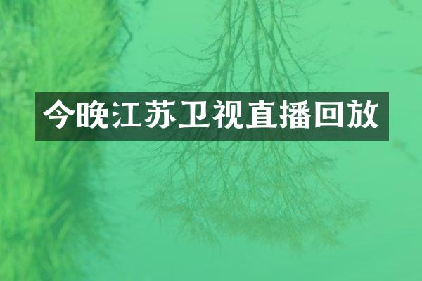 今晚江苏卫视直播回放