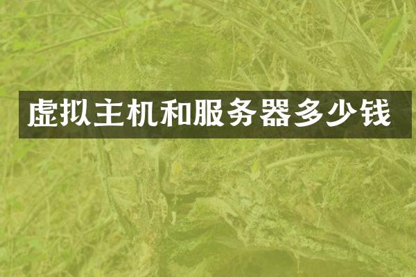 虚拟主机和服务器多少钱