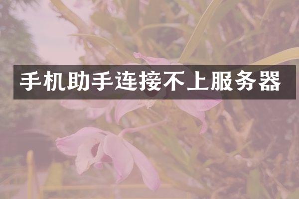 手机助手连接不上服务器
