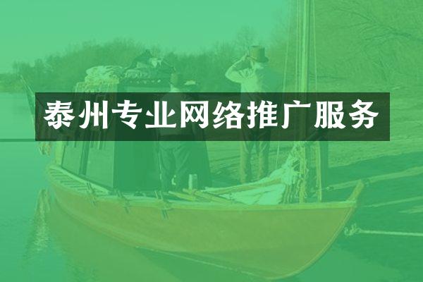 泰州专业网络推广服务