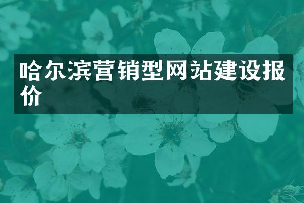 哈尔滨营销型网站建设报价