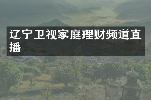 辽宁卫视家庭理财频道直播