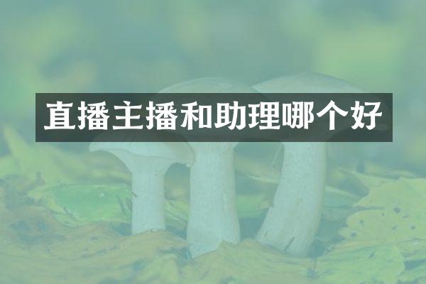 直播主播和助理哪个好