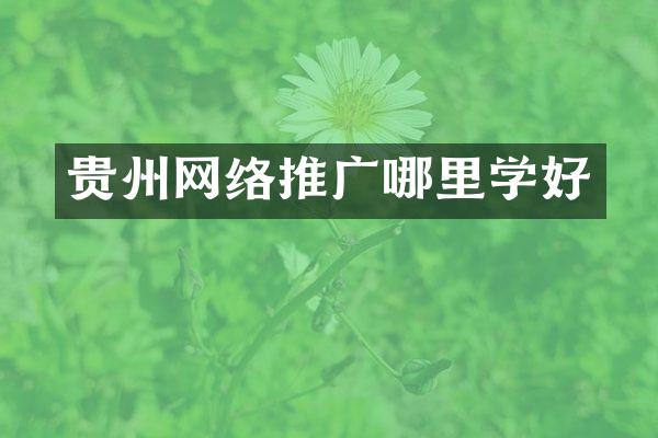 贵州网络推广哪里学好