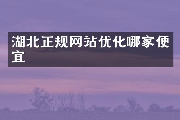 湖北正规网站优化哪家便宜