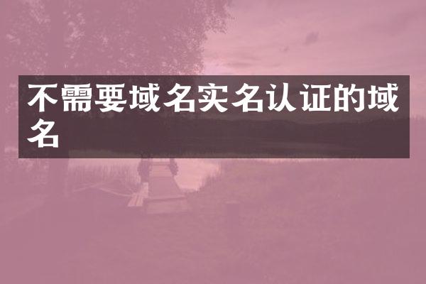不需要域名实名认证的域名