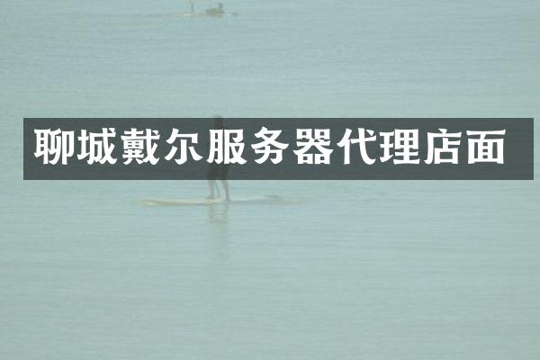 聊城戴尔服务器代理店面