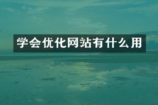 学会优化网站有什么用