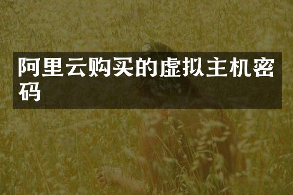 阿里云购买的虚拟主机密码