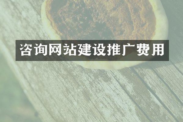 咨询网站建设推广费用