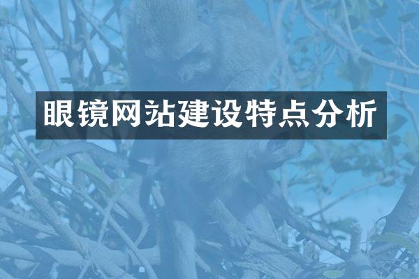 眼镜网站建设特点分析