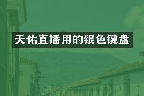 天佑直播用的银色键盘