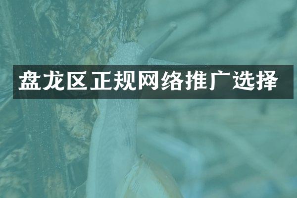 盘龙区正规网络推广选择