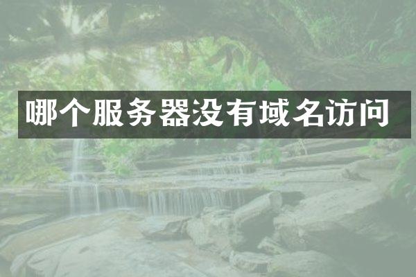哪个服务器没有域名访问