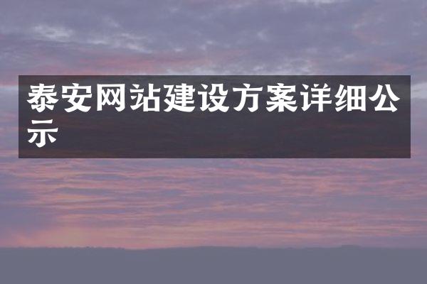 泰安网站建设方案详细公示